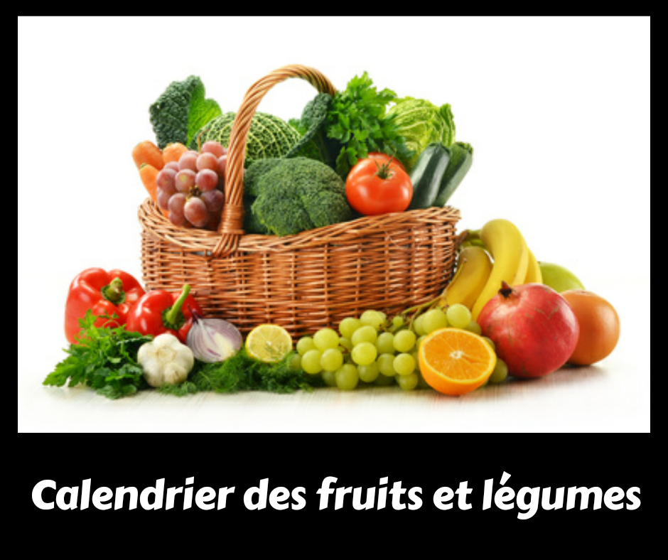 coach nutrition roanne